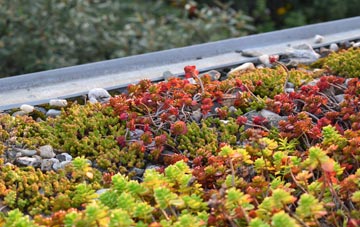 the cost of Bonvilston green roof installation