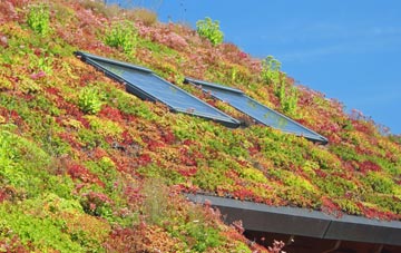Bonvilston living roof systems